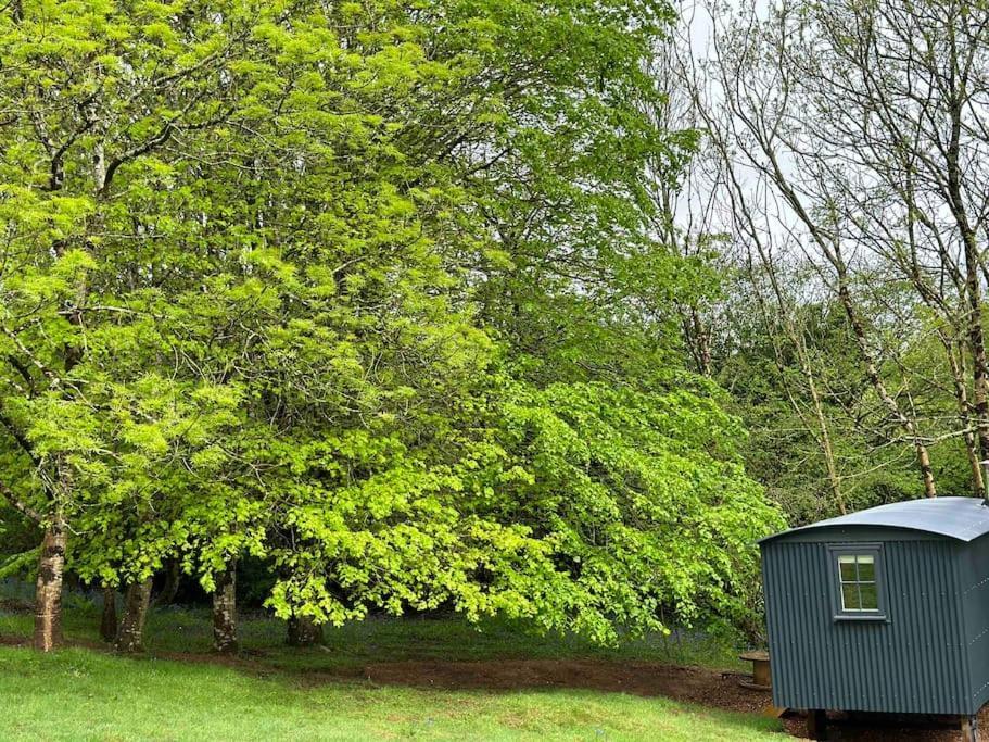 Cornwall Woodland Shepherd'S Hut Deirdres Hut Bodmin Ngoại thất bức ảnh