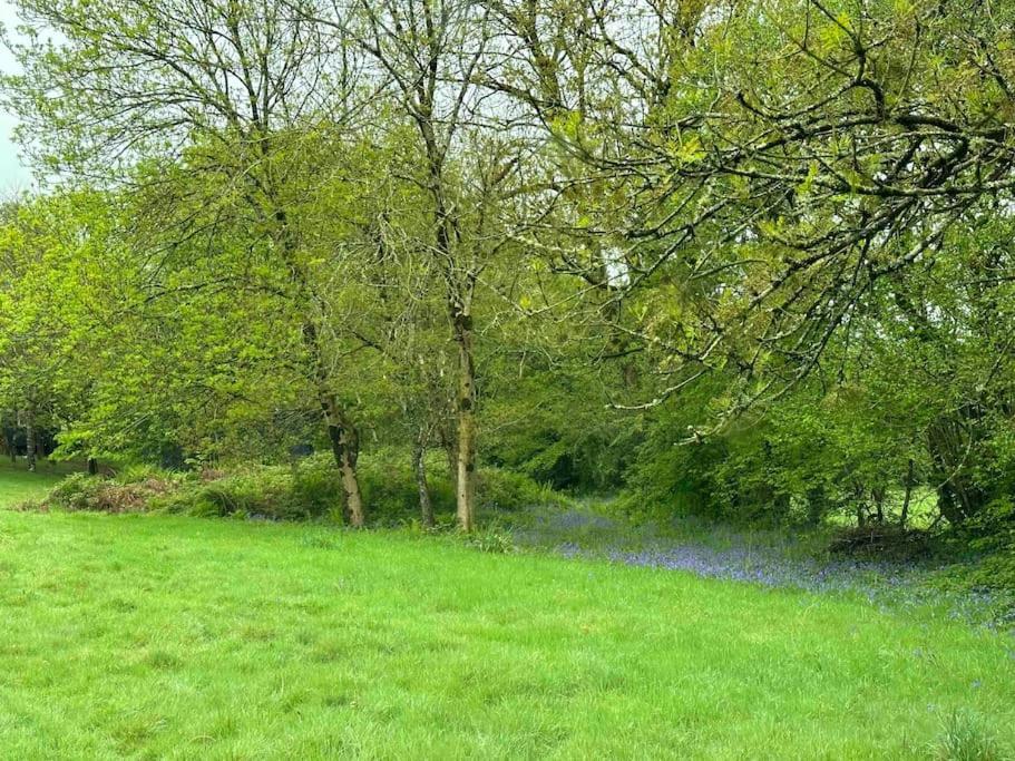 Cornwall Woodland Shepherd'S Hut Deirdres Hut Bodmin Ngoại thất bức ảnh