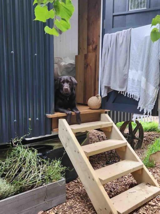 Cornwall Woodland Shepherd'S Hut Deirdres Hut Bodmin Ngoại thất bức ảnh
