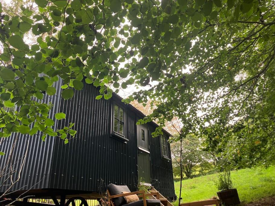 Cornwall Woodland Shepherd'S Hut Deirdres Hut Bodmin Ngoại thất bức ảnh