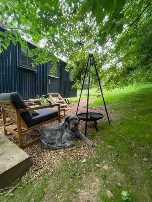 Cornwall Woodland Shepherd'S Hut Deirdres Hut Bodmin Ngoại thất bức ảnh