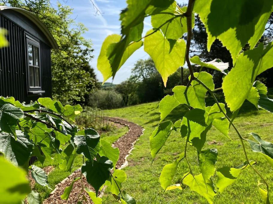 Cornwall Woodland Shepherd'S Hut Deirdres Hut Bodmin Ngoại thất bức ảnh