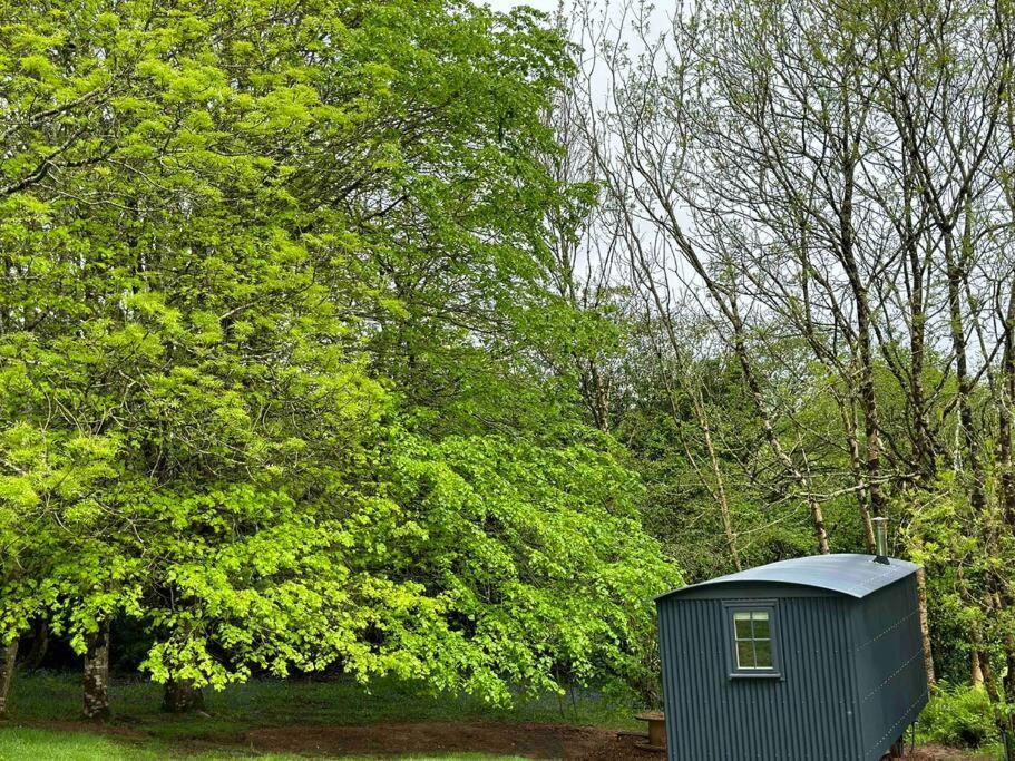 Cornwall Woodland Shepherd'S Hut Deirdres Hut Bodmin Ngoại thất bức ảnh
