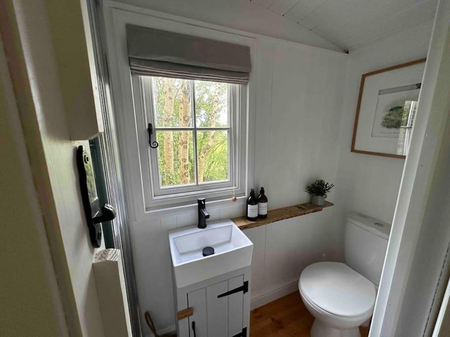 Cornwall Woodland Shepherd'S Hut Deirdres Hut Bodmin Ngoại thất bức ảnh