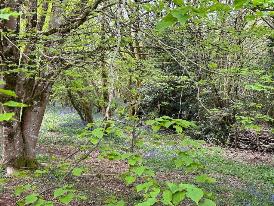Cornwall Woodland Shepherd'S Hut Deirdres Hut Bodmin Ngoại thất bức ảnh